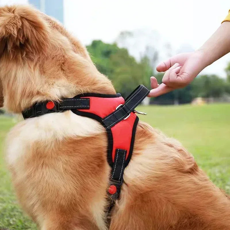 Dog Harness and Leash Set No Pull Adjustable Comfortable with Easy Control Handle Outdoor Running Walking Hand Free Lead Leash