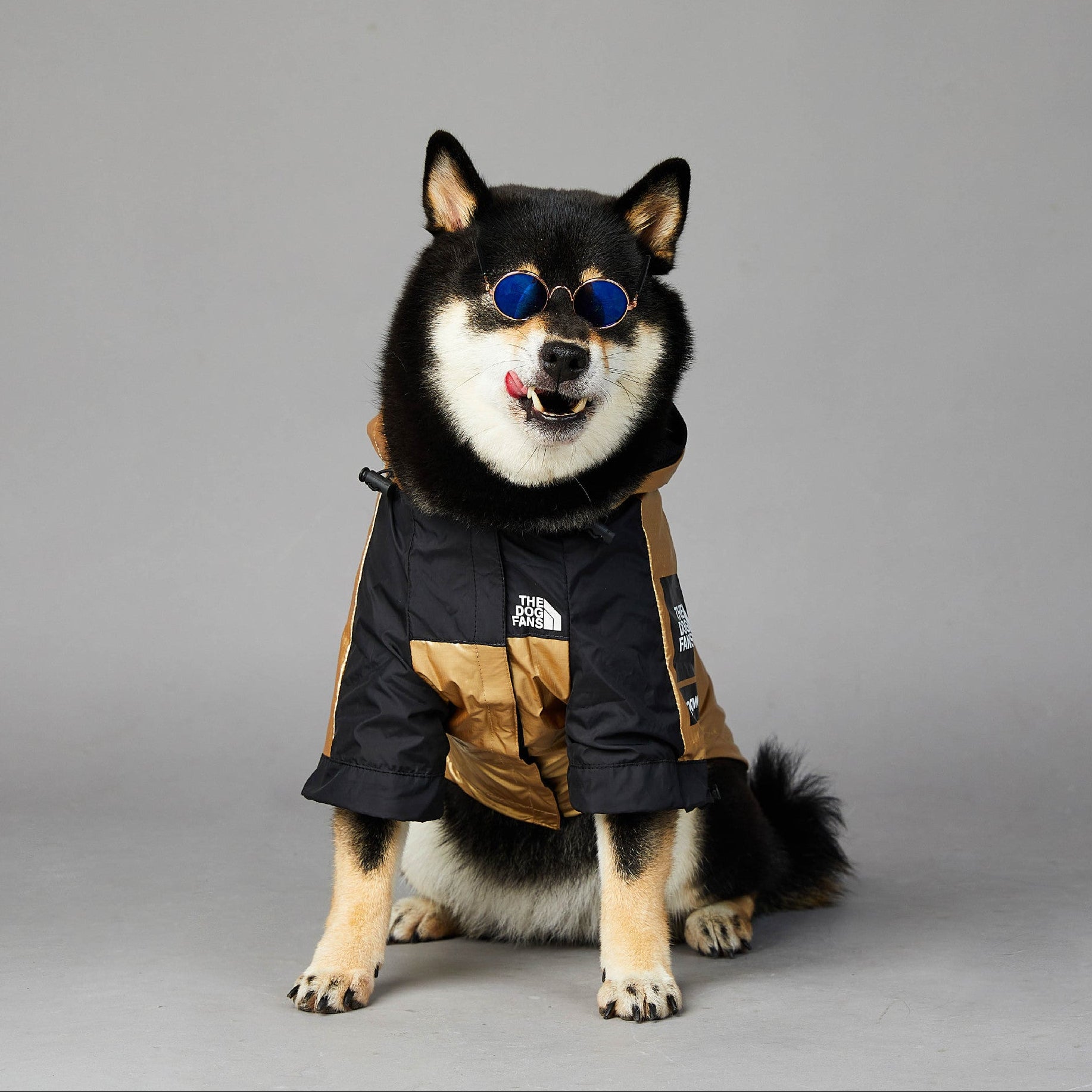 Dog Large Dog Raincoat Pet Jacket