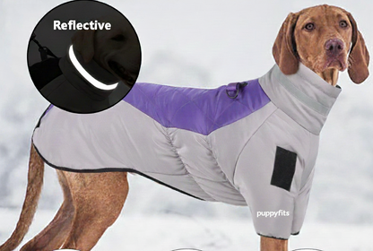 Pet Dog Reflective Raincoat