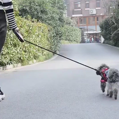 Retractable Fiber Leash Night Safety LED Shining