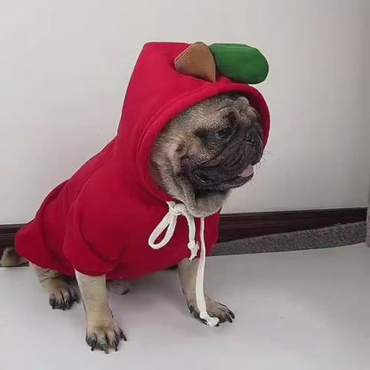 Cute Fruit Dog Small Dogs Hoodies