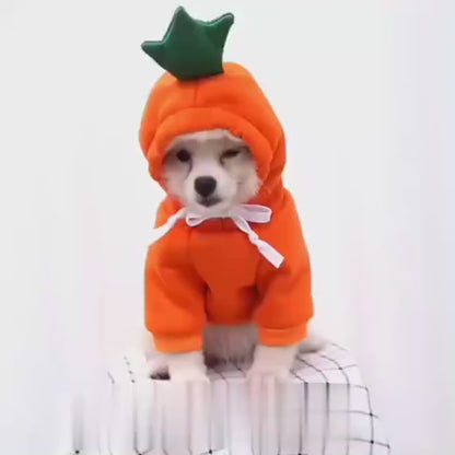 Cute Fruit Dog Small Dogs Hoodies